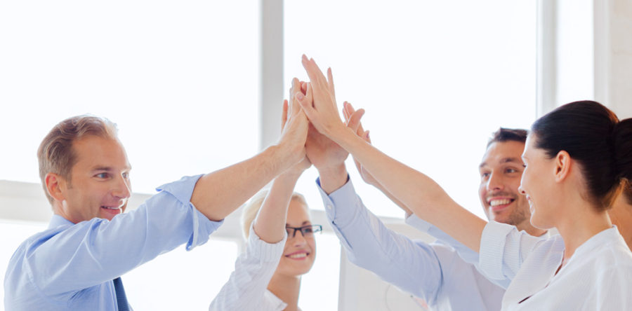 Suspendisse arcu nisl