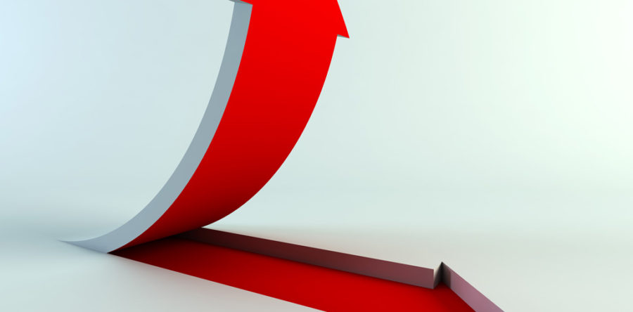 Sed blandit massa vel